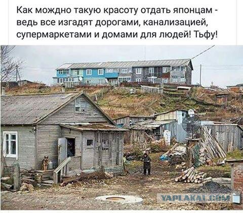 СМИ: Абэ предложит Путину ускорить переговоры по Курилам