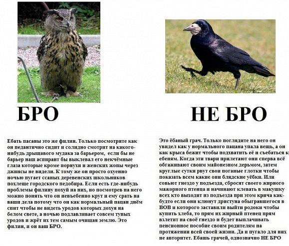 Что-о? Q_Q