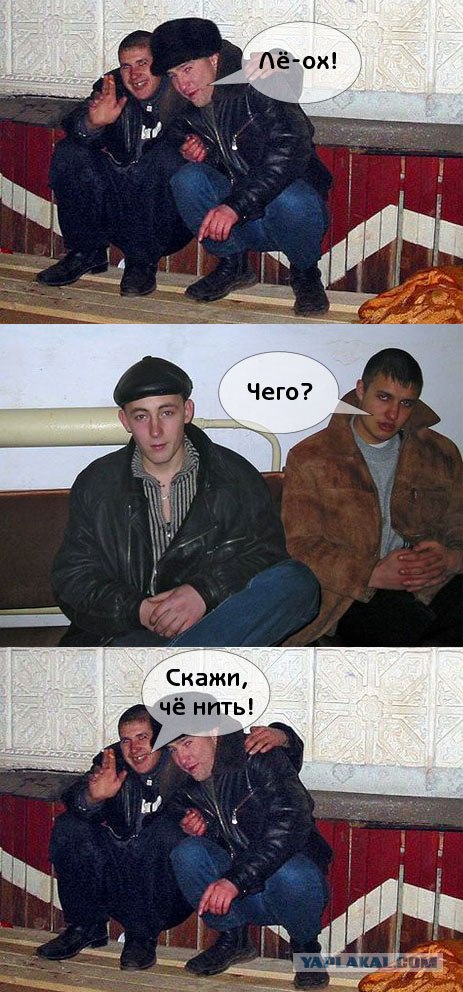 Дразнилки