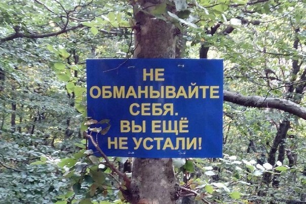 Женщины стали смелее и напористей