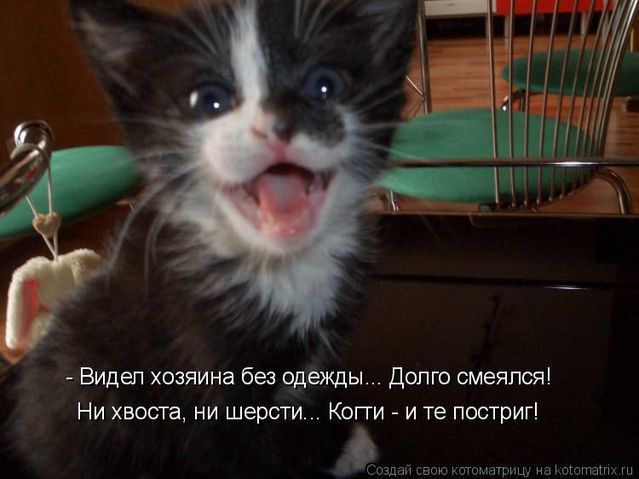Картинки с надписями, истории и анекдоты 08.11.19