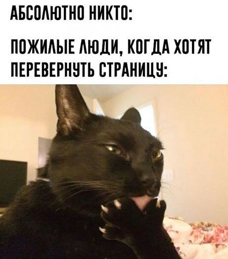 Картинки с надписями, истории и анекдоты 24.11.19