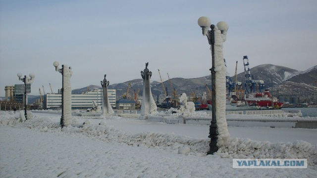 Немного зимних фото