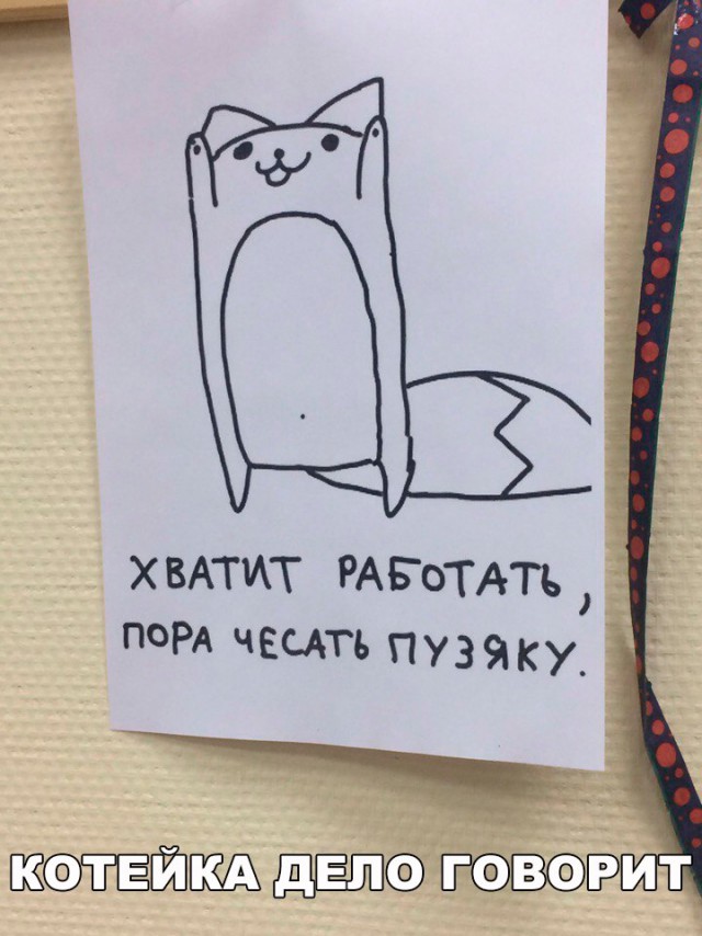 Немного картинок для настроения 10.01.20