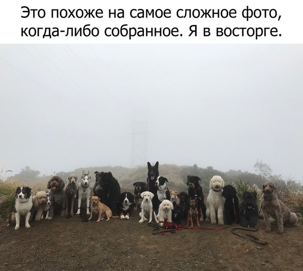 Немного картинок для настроения 24.01.20