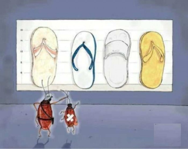 Бредзона
