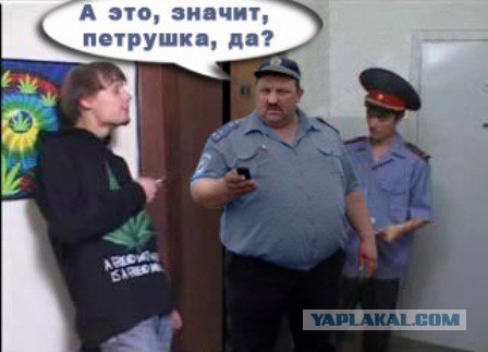 Фотожаба:На связи