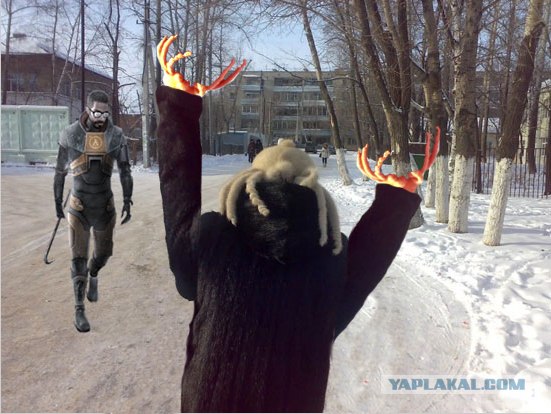 Хедкрабы в твоем городе!