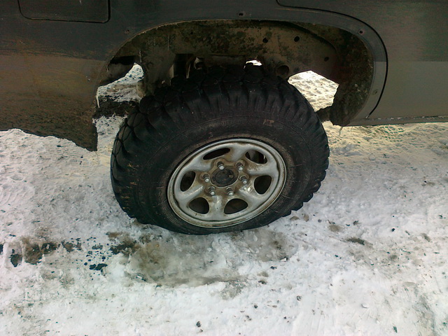 Спринт Триал "Беркут"