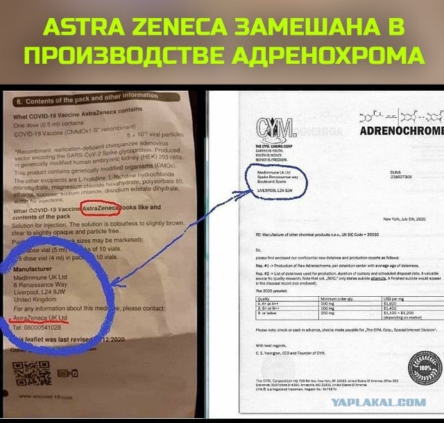 Вакцинация в один укол