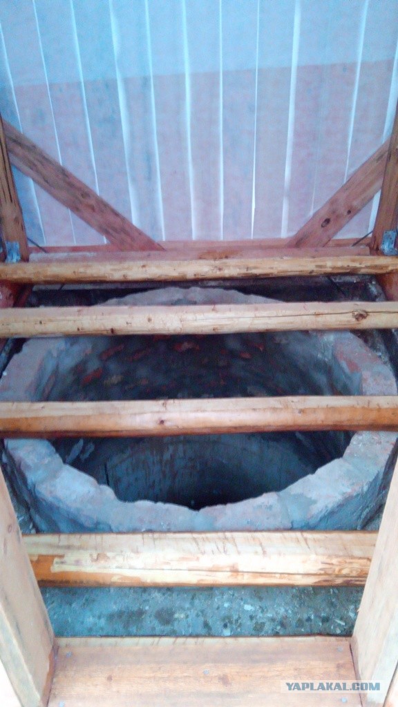 Психанул. Дачный сортир «king size»