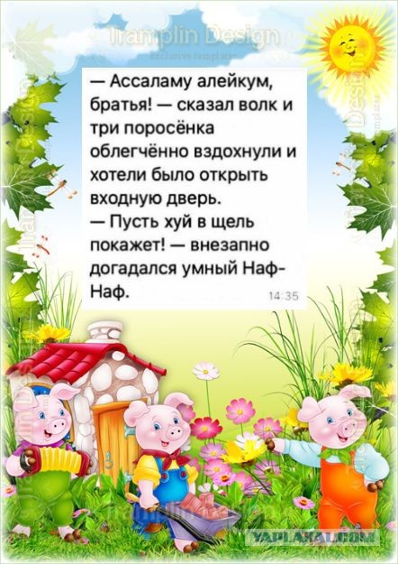 Последняя картинка в вашей Галерее/Загрузках