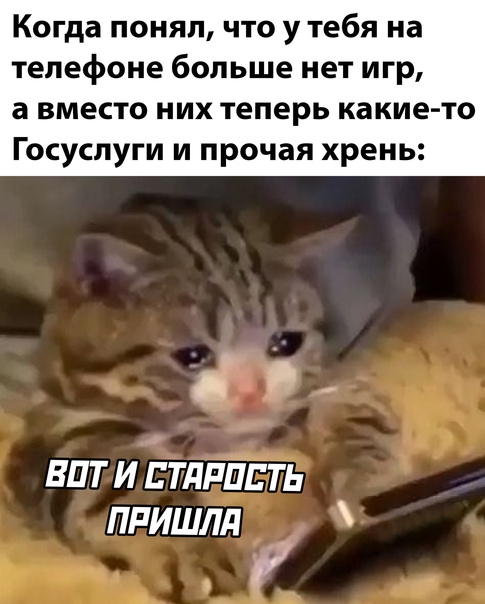 Картинки и мемы, всем прекрасных выходных