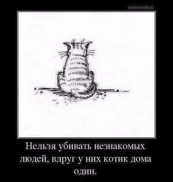 ТруЪ демотиваторы