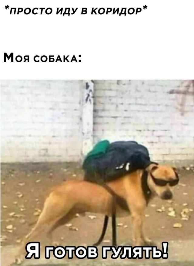 Картинки и мемы, всем прекрасных выходных