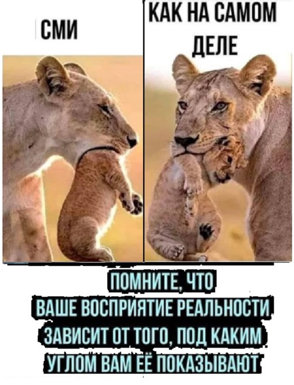 Картинки с надписями и всякие жизненные фразы