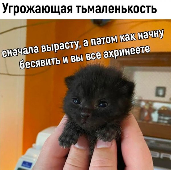 Прикольные и просто красивые картинки 22.06.2022