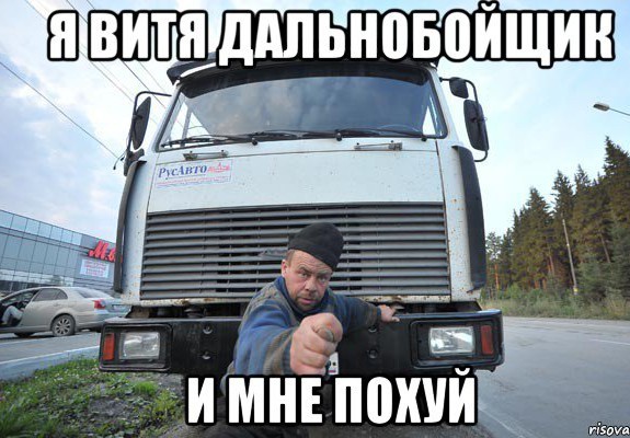 Стадный рефлекс