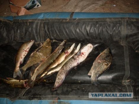 Рыбалка (Чёрный Яр)