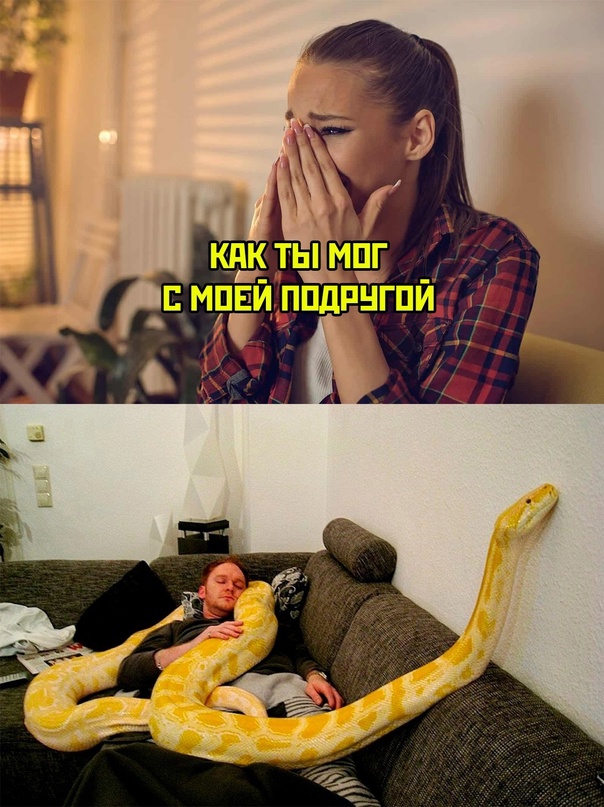 Картинки и мемы, всем хороших выходных