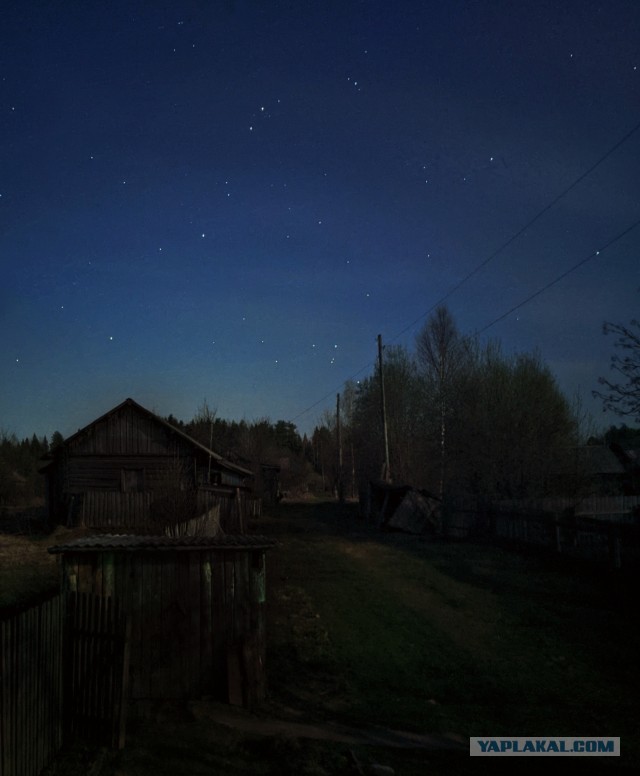 Моя мобильная фотография