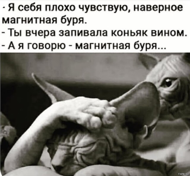 Картинки и мемы, всяко разно - 181