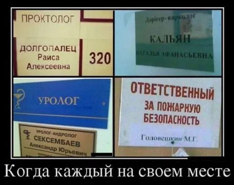 Весёлый полтишок 23.07.23