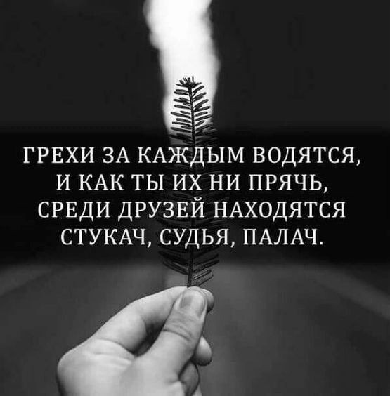 Весёлый полтишок 15.10.23
