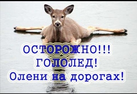 В Китае первый снег…