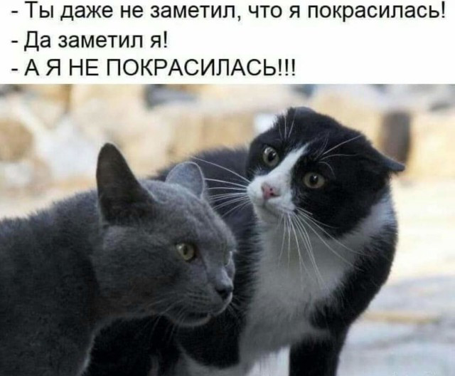 Смертельная обида