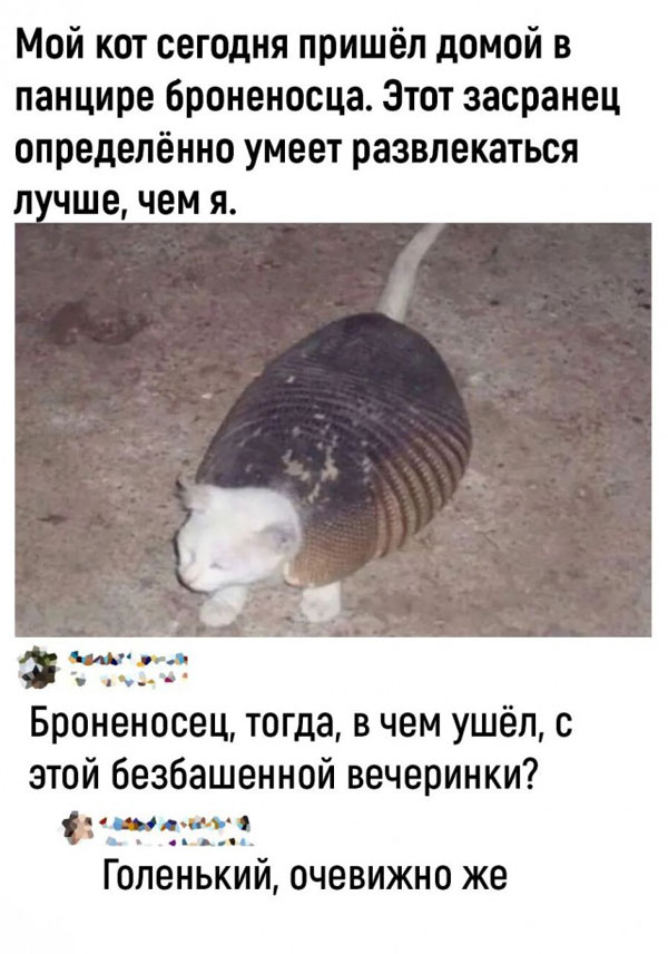 Пятниццо! Баяниццо!