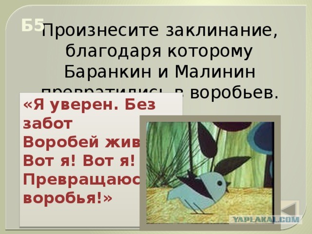 Как у меня появился воробей