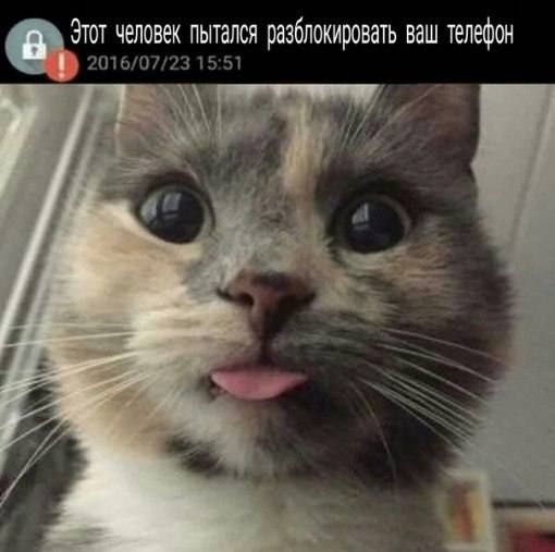 В Android появится умная защита от кражи телефона