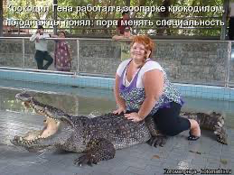 Манул Тимофей вглядывается в даль в поисках выходных