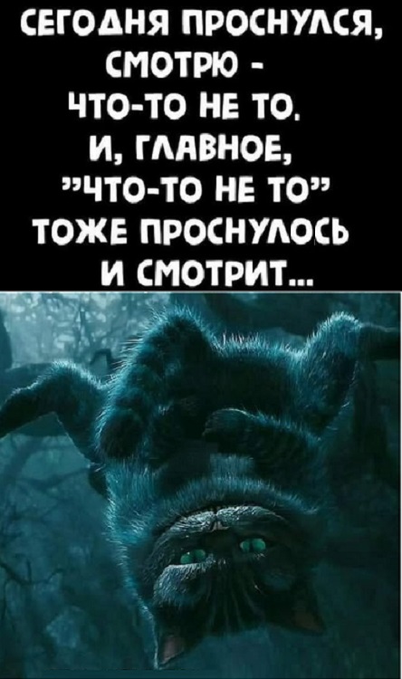 Картинки разные с надписями и без