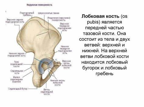 Оно ест... И может отплясывать
