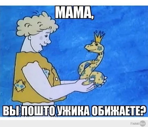 В Хорватии гадюка умерла после того, как укусила пьяного мужчину
