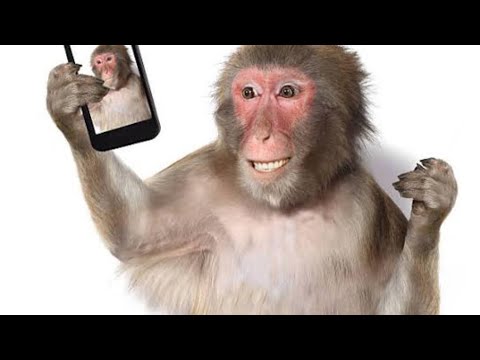 Недолго радовалась тюнингу