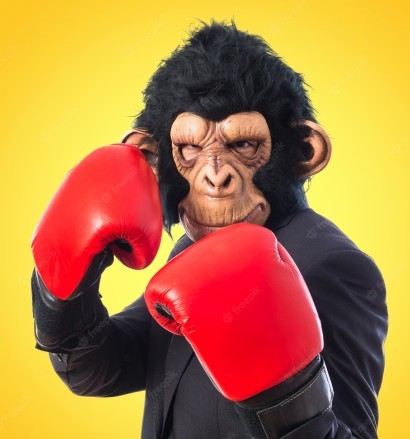 И тут вижу она открылась слева