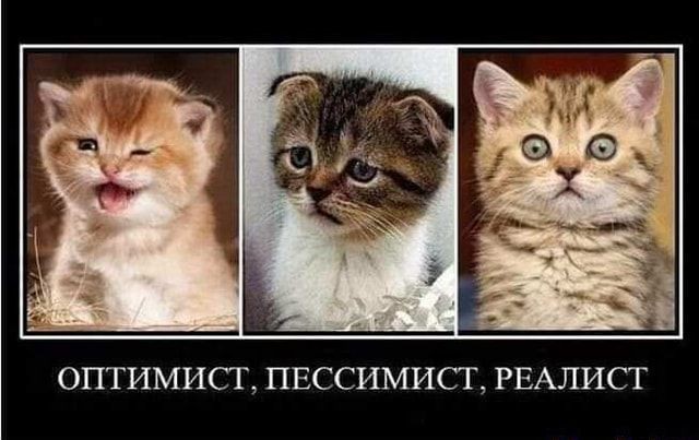 Больницам Петербурга поручили оптимизировать расходы