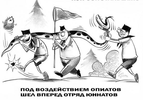 Дятел и его язык