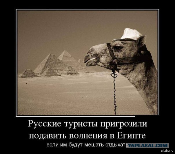 Бои на улицах Египта