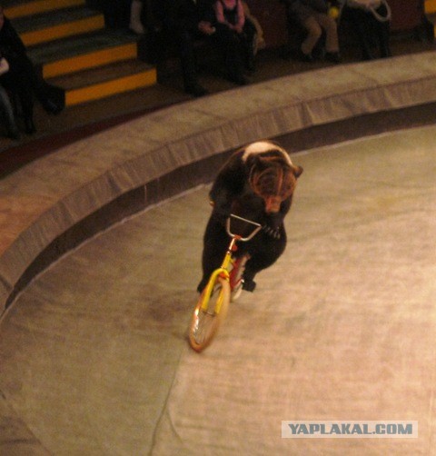 Россия возвращается на мировую арену