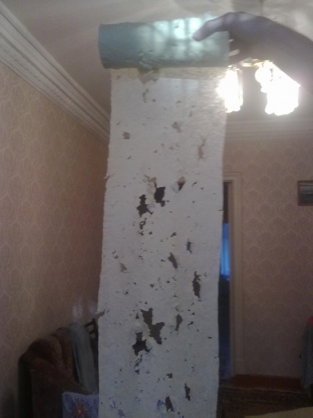 Забавный котикс