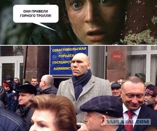 Фото дня