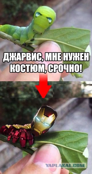 Весёлые картинки. Разбавим будни