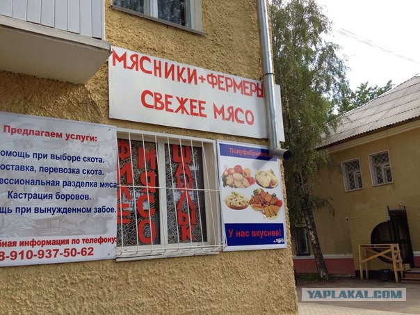 Маразмы месяца