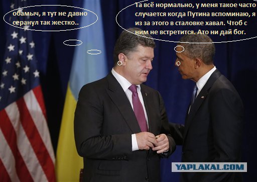 Похоже он его боится