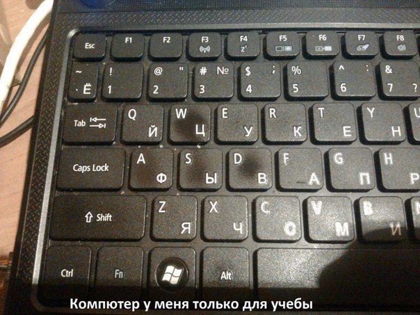 Смешные картинки с подписями