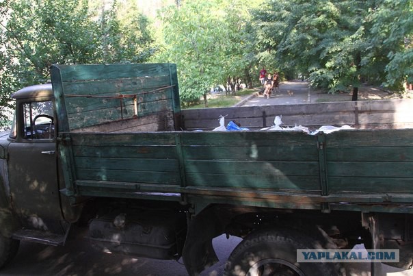 Экипаж украинского танка победил в неравном бою
